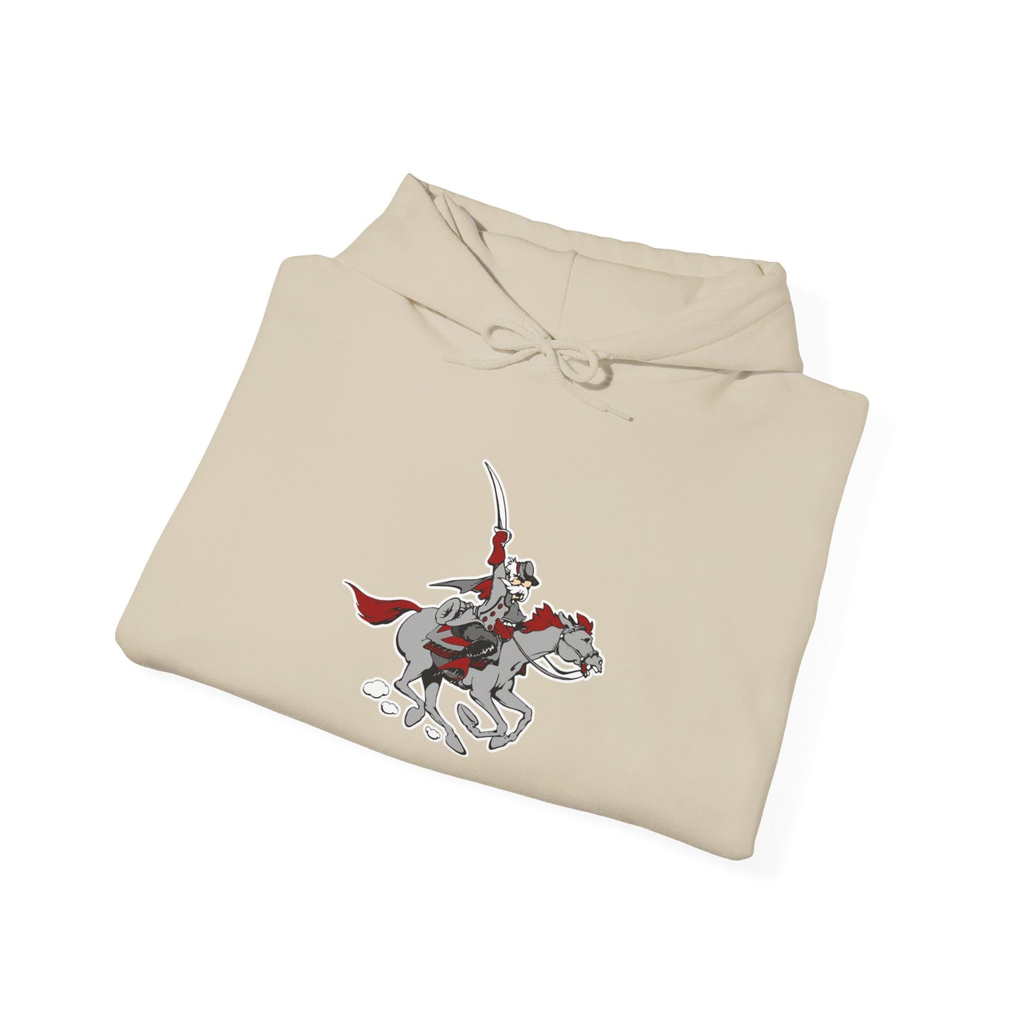 South Albany High School Rebels Hoodie (New Jersey)