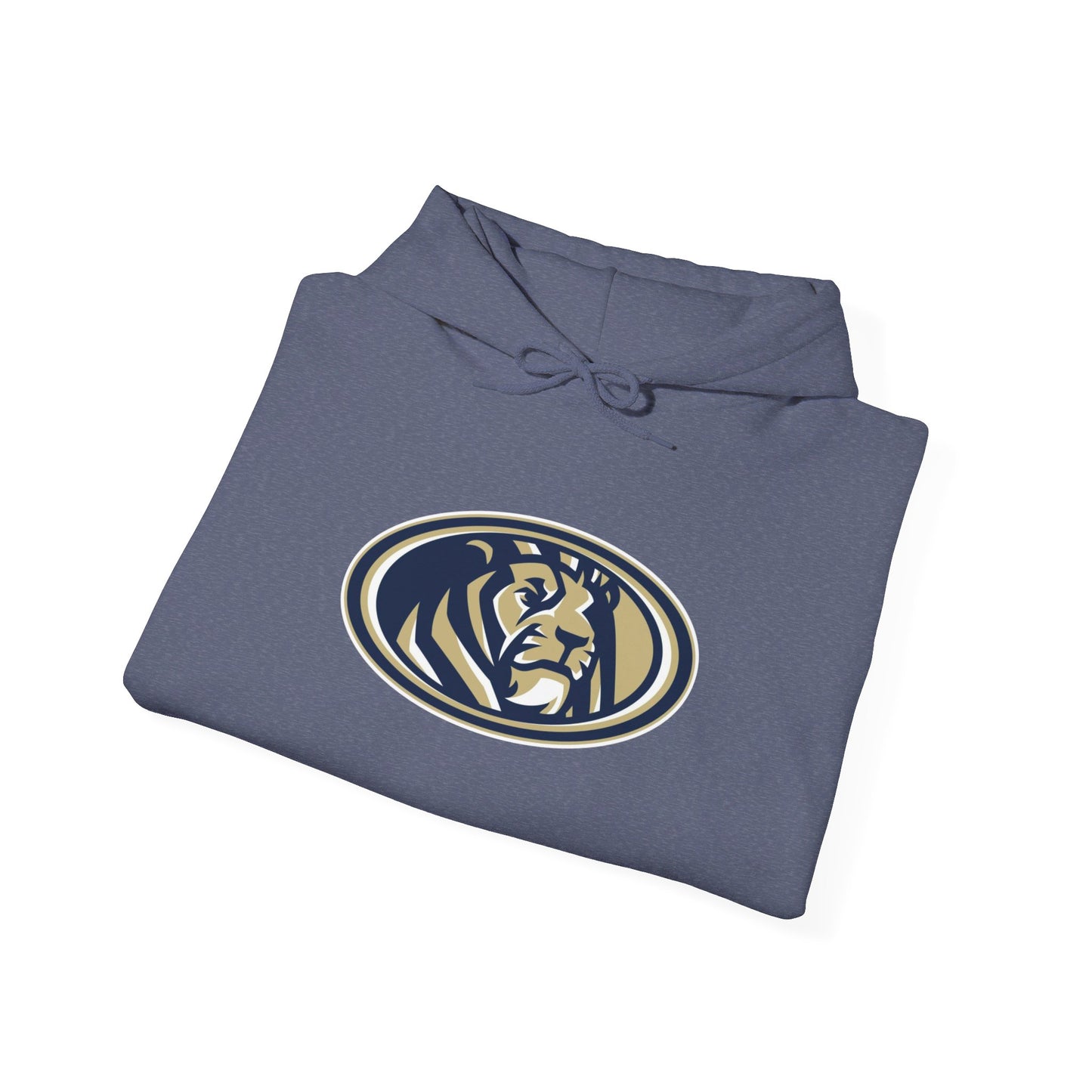 Foley High School Lions Hoodie
