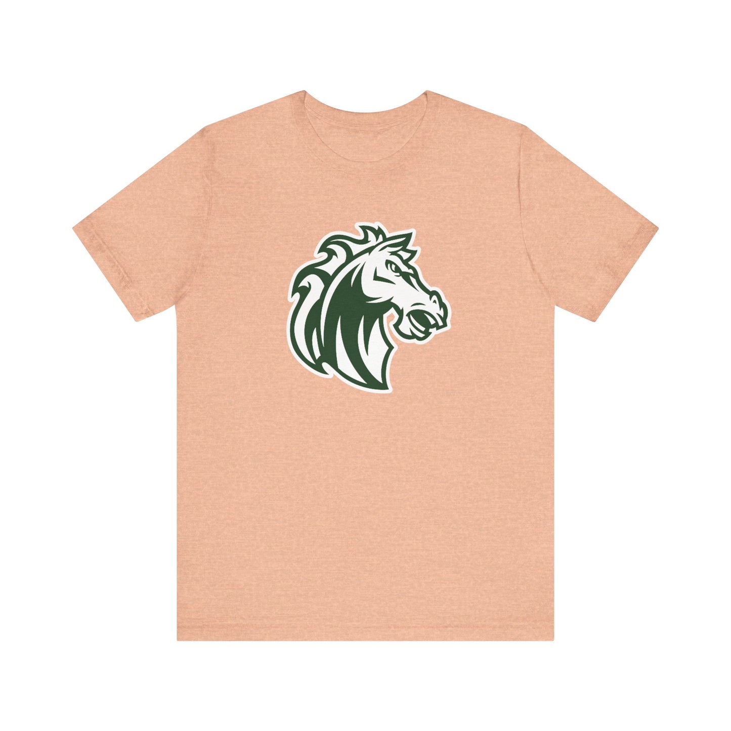 Morgan Park High School Mustangs (Chicago)