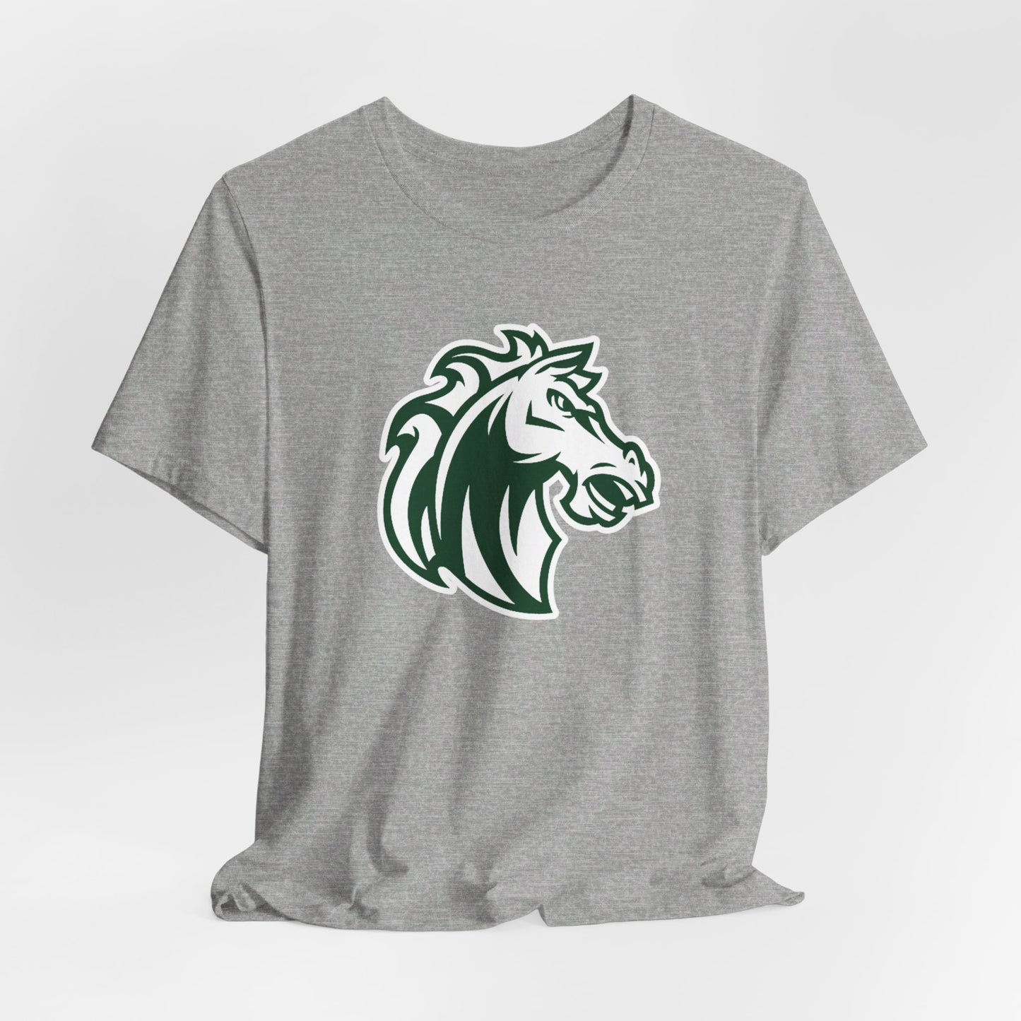 Morgan Park High School Mustangs (Chicago)