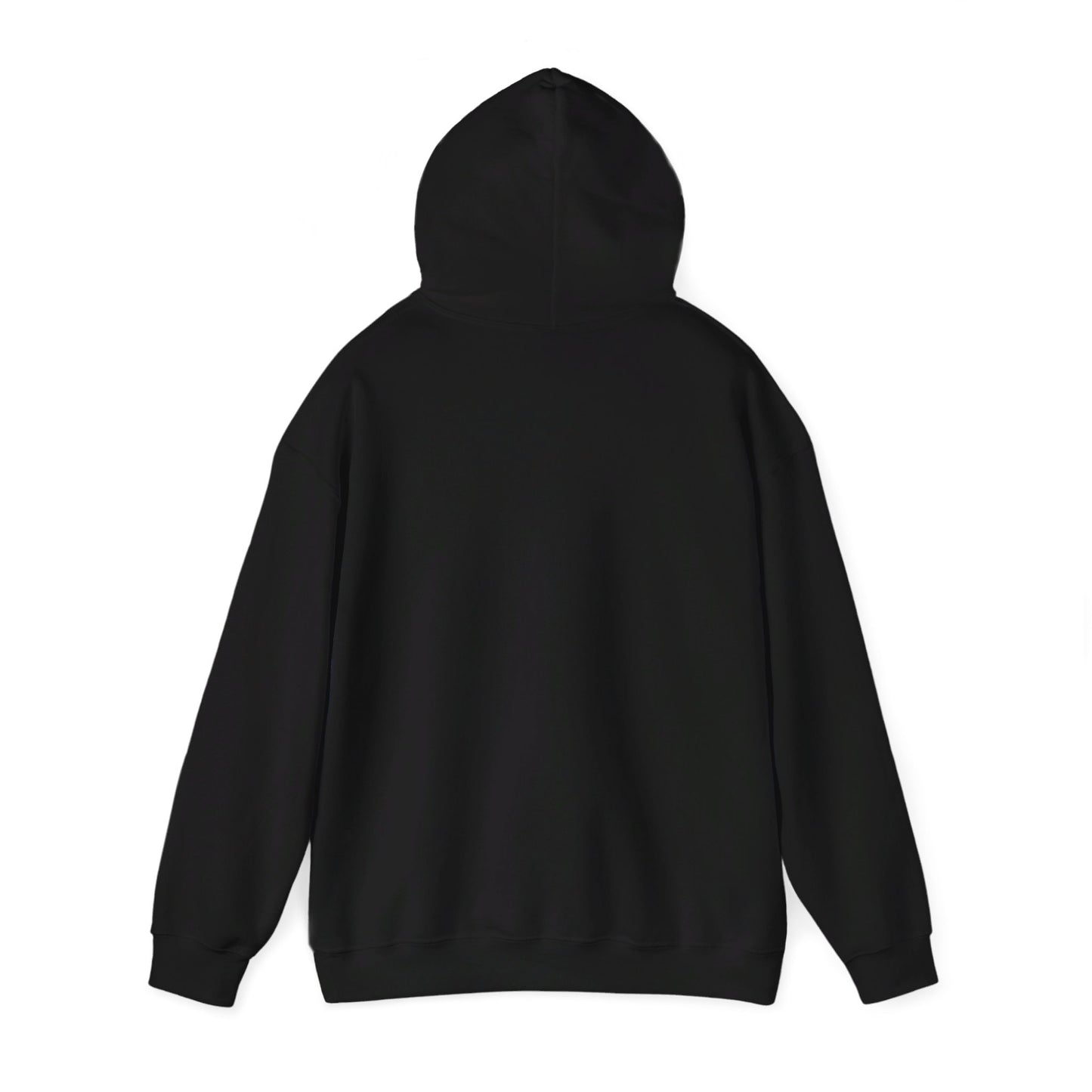 Lincoln High School Fighting Zebras Hoodie