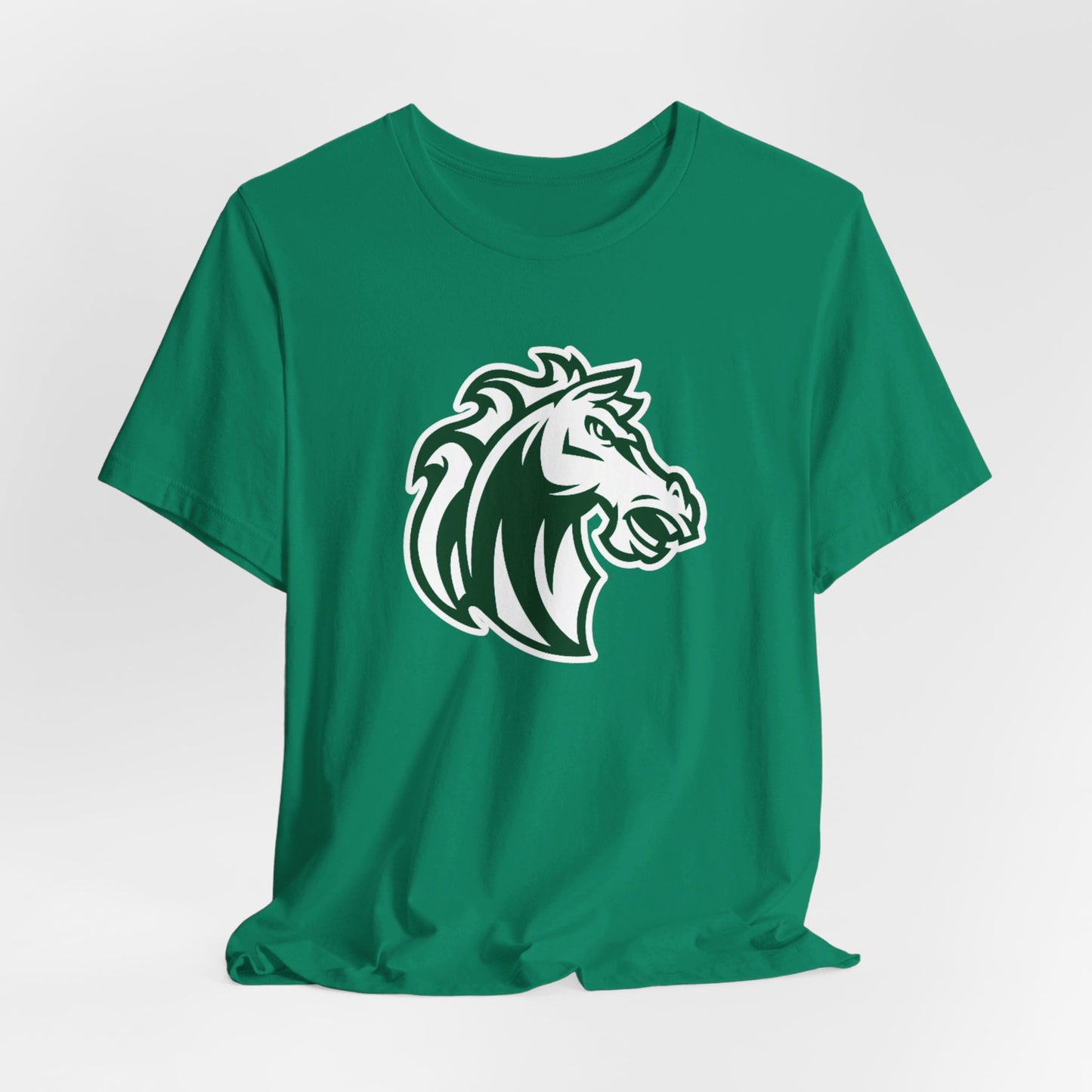 Morgan Park High School Mustangs (Chicago)