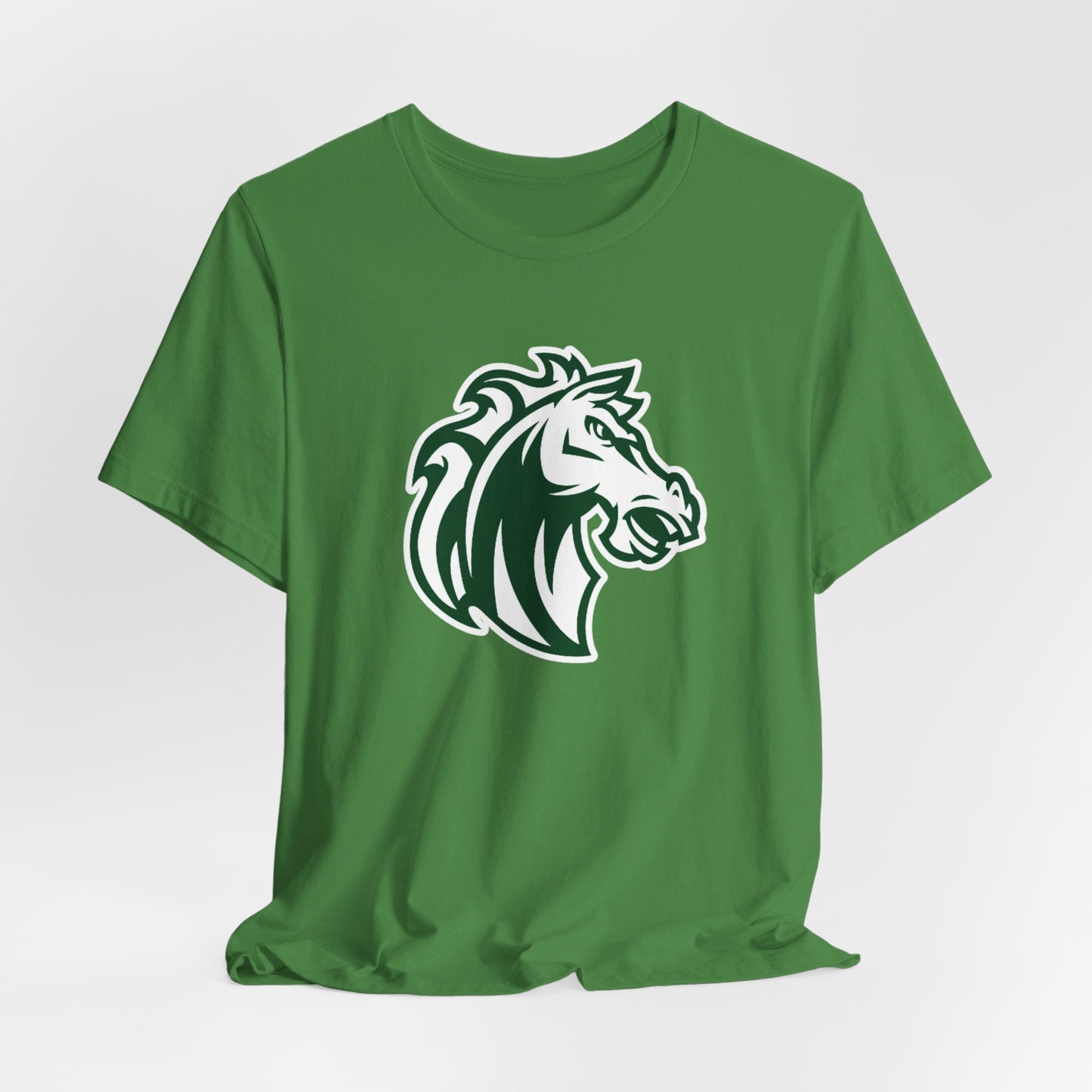 Morgan Park High School Mustangs (Chicago)
