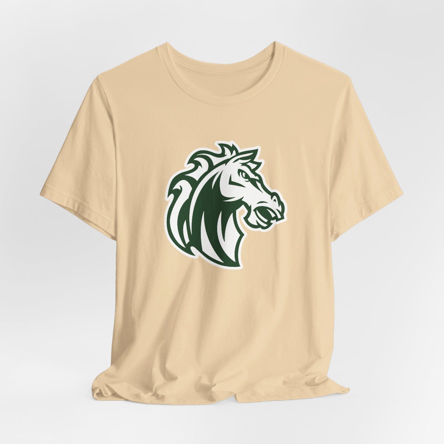Morgan Park High School Mustangs (Chicago)
