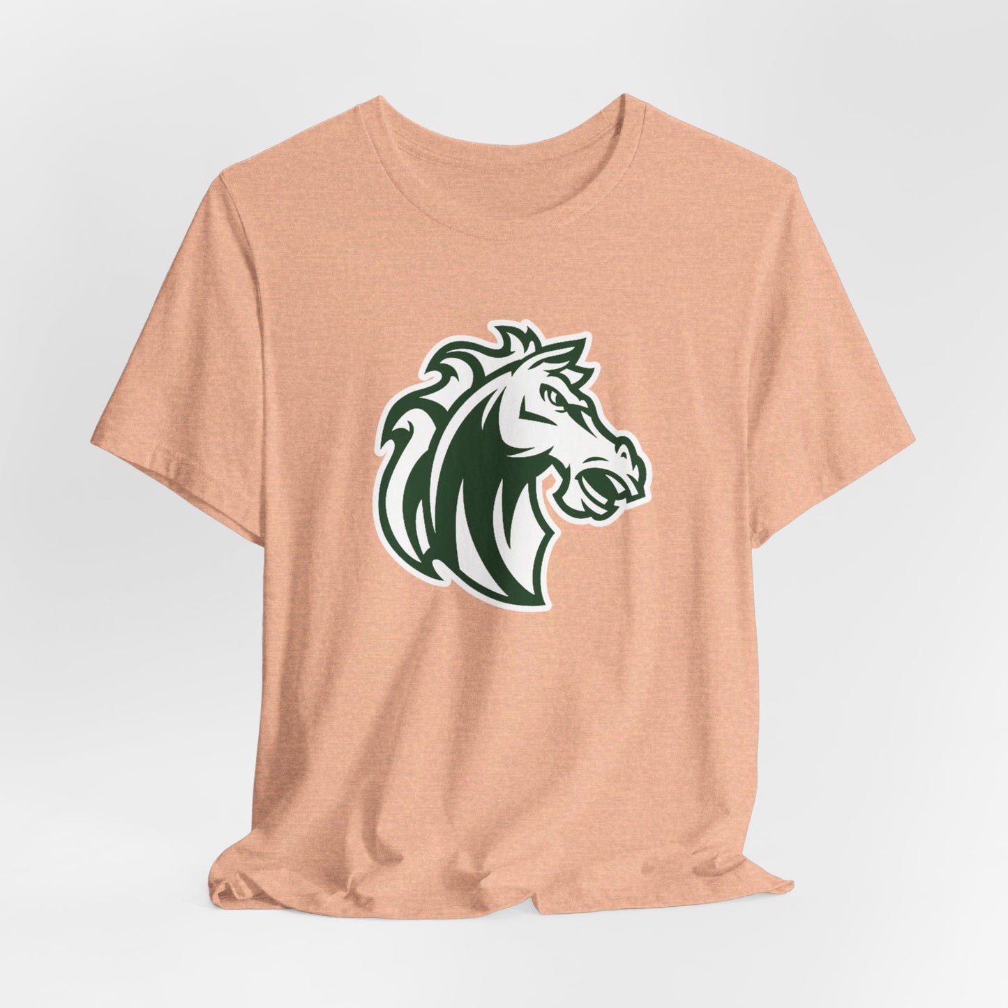 Morgan Park High School Mustangs (Chicago)