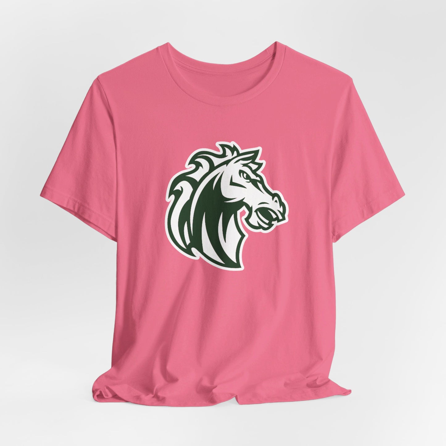 Morgan Park High School Mustangs (Chicago)