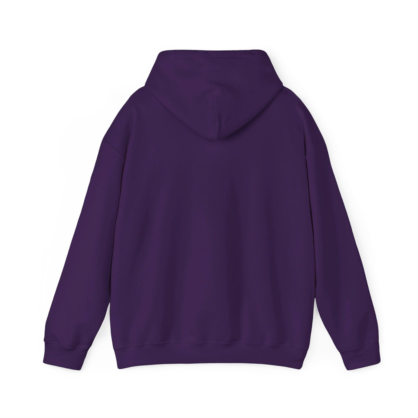 Doral Park High School Dragons Hoodie (Florida)