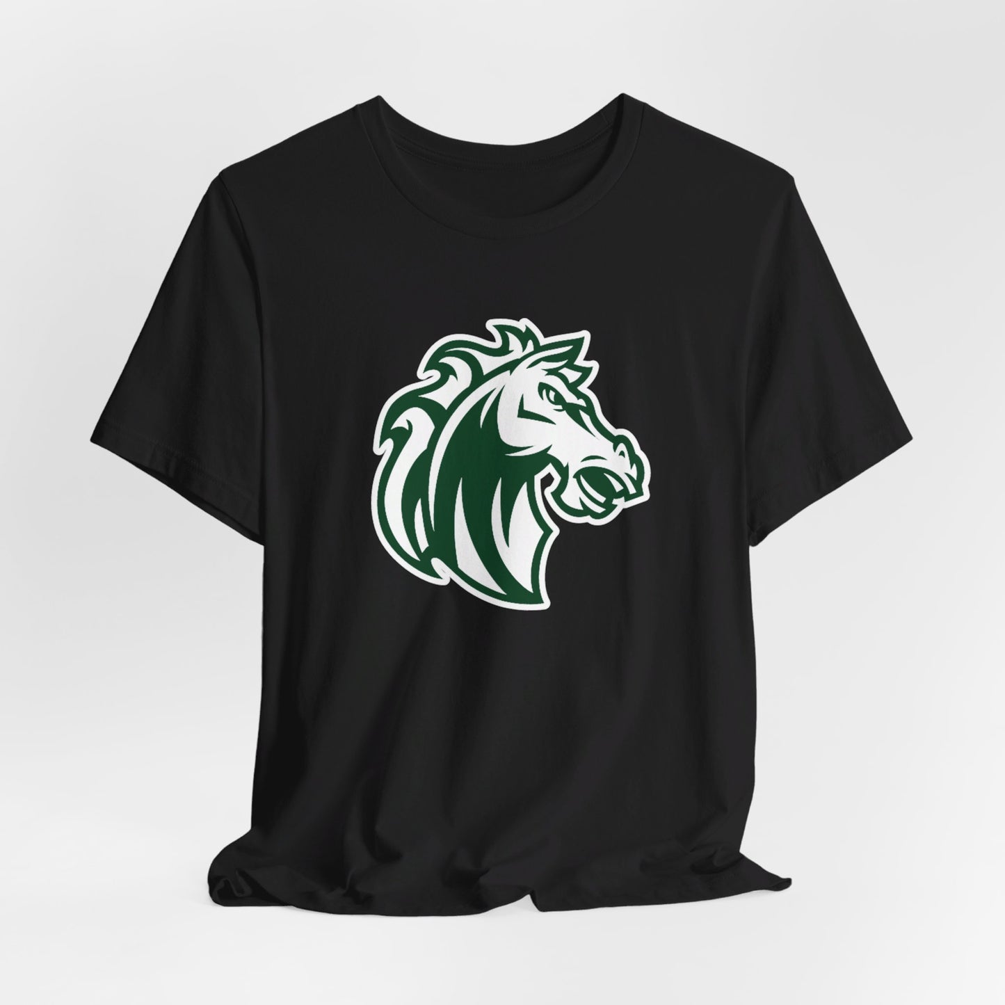 Morgan Park High School Mustangs (Chicago)