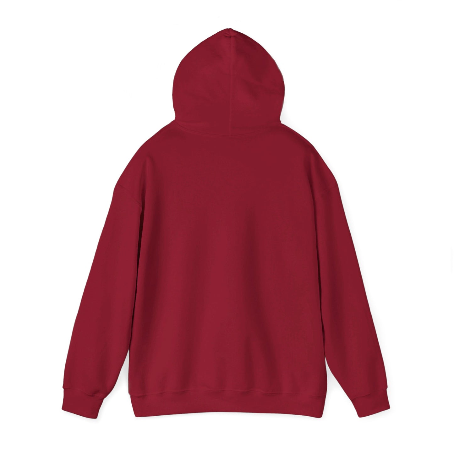 South Albany High School Rebels Hoodie (New Jersey)