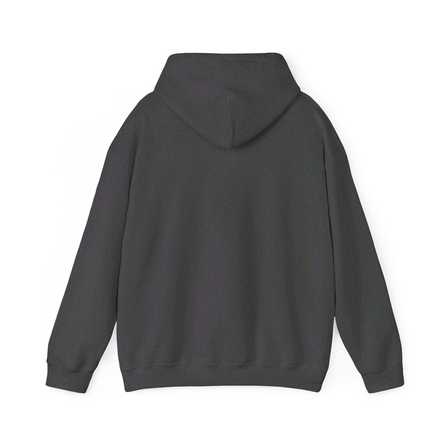 Lincoln High School Fighting Zebras Hoodie