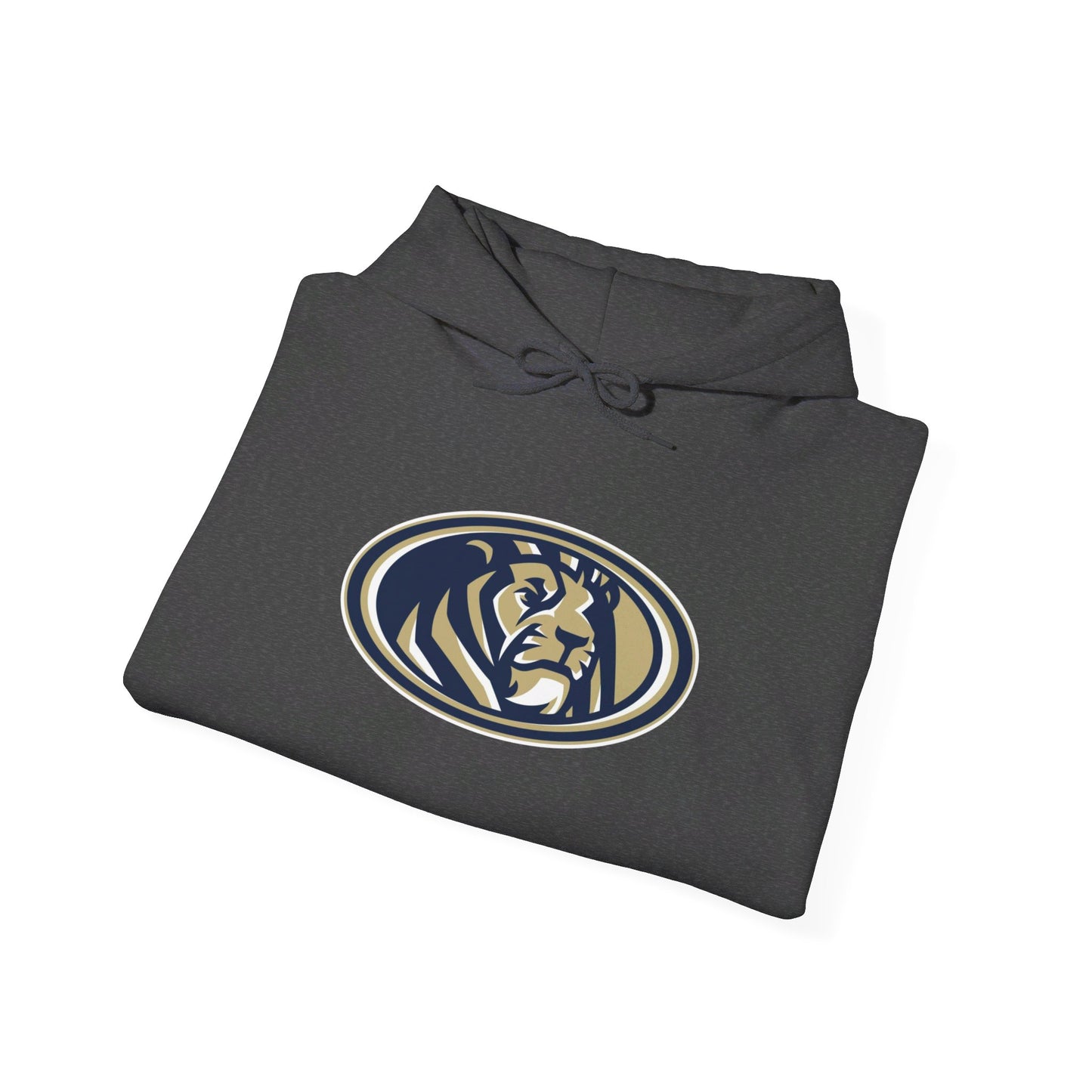 Foley High School Lions Hoodie