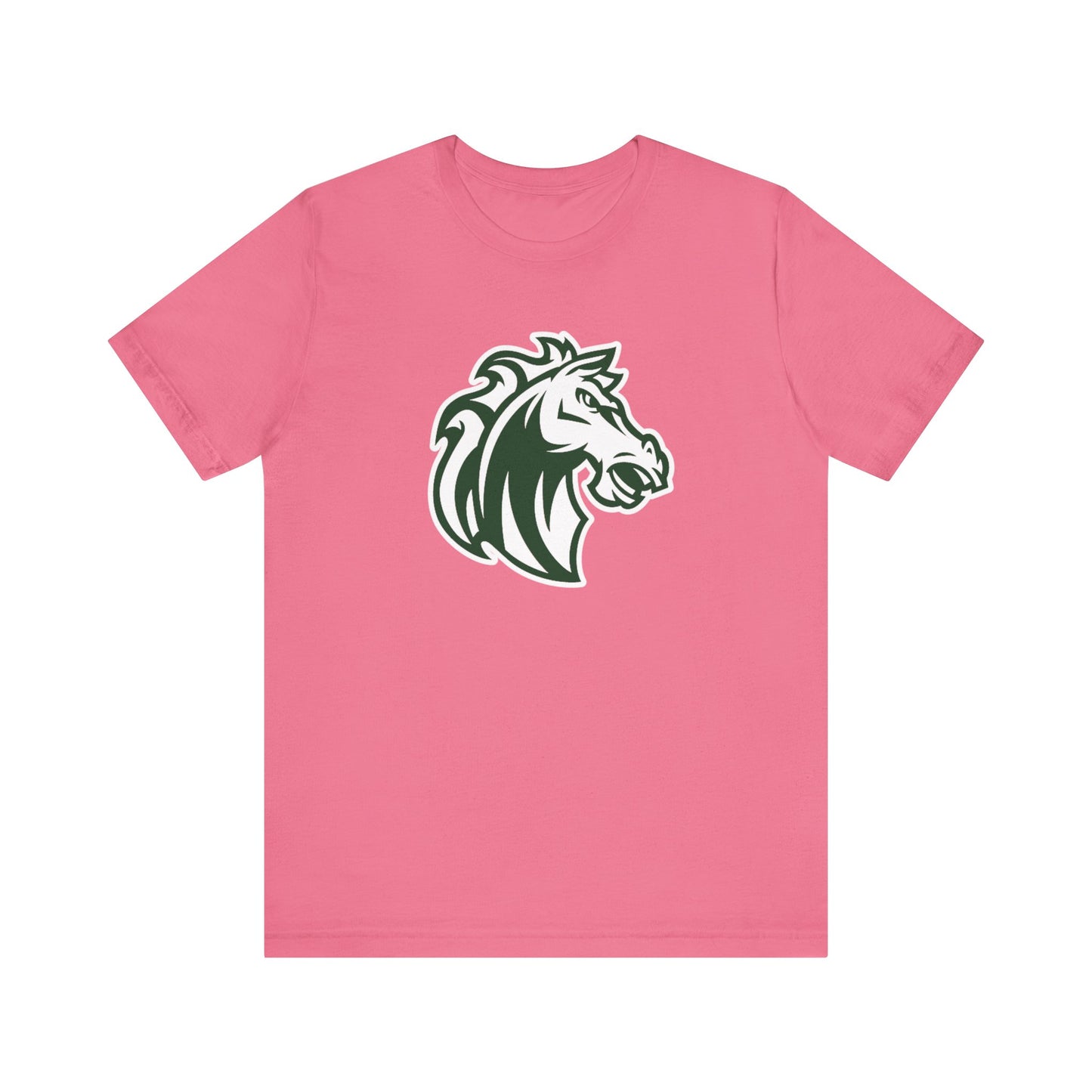 Morgan Park High School Mustangs (Chicago)