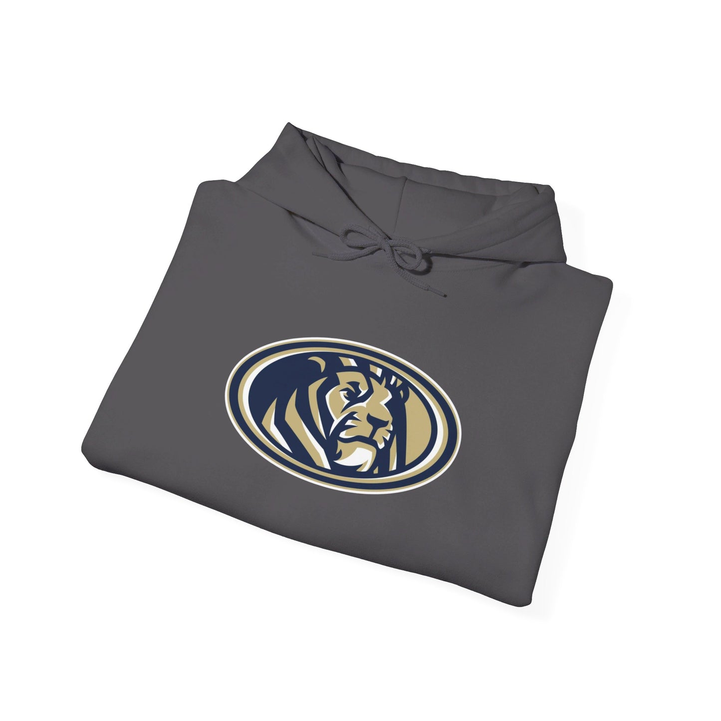 Foley High School Lions Hoodie