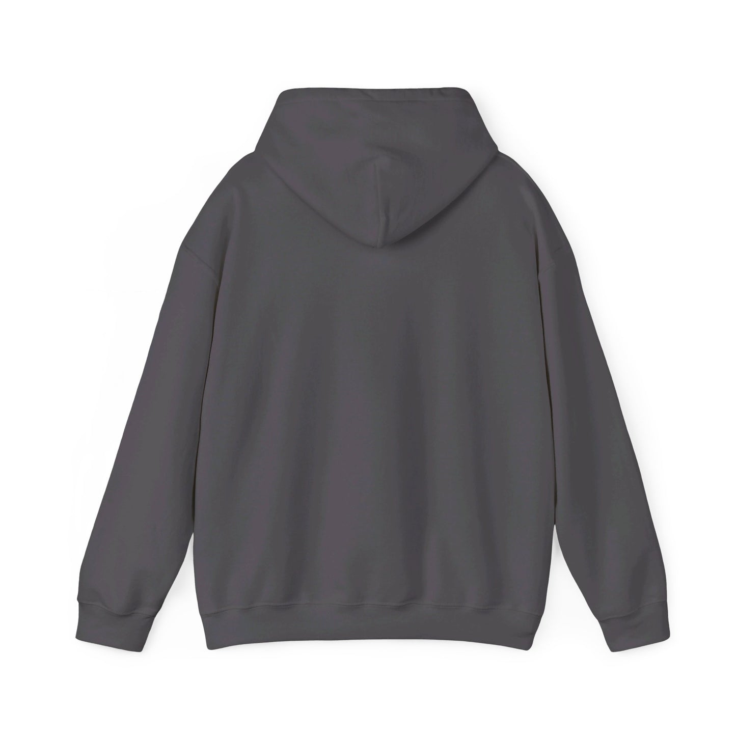 Lincoln High School Fighting Zebras Hoodie