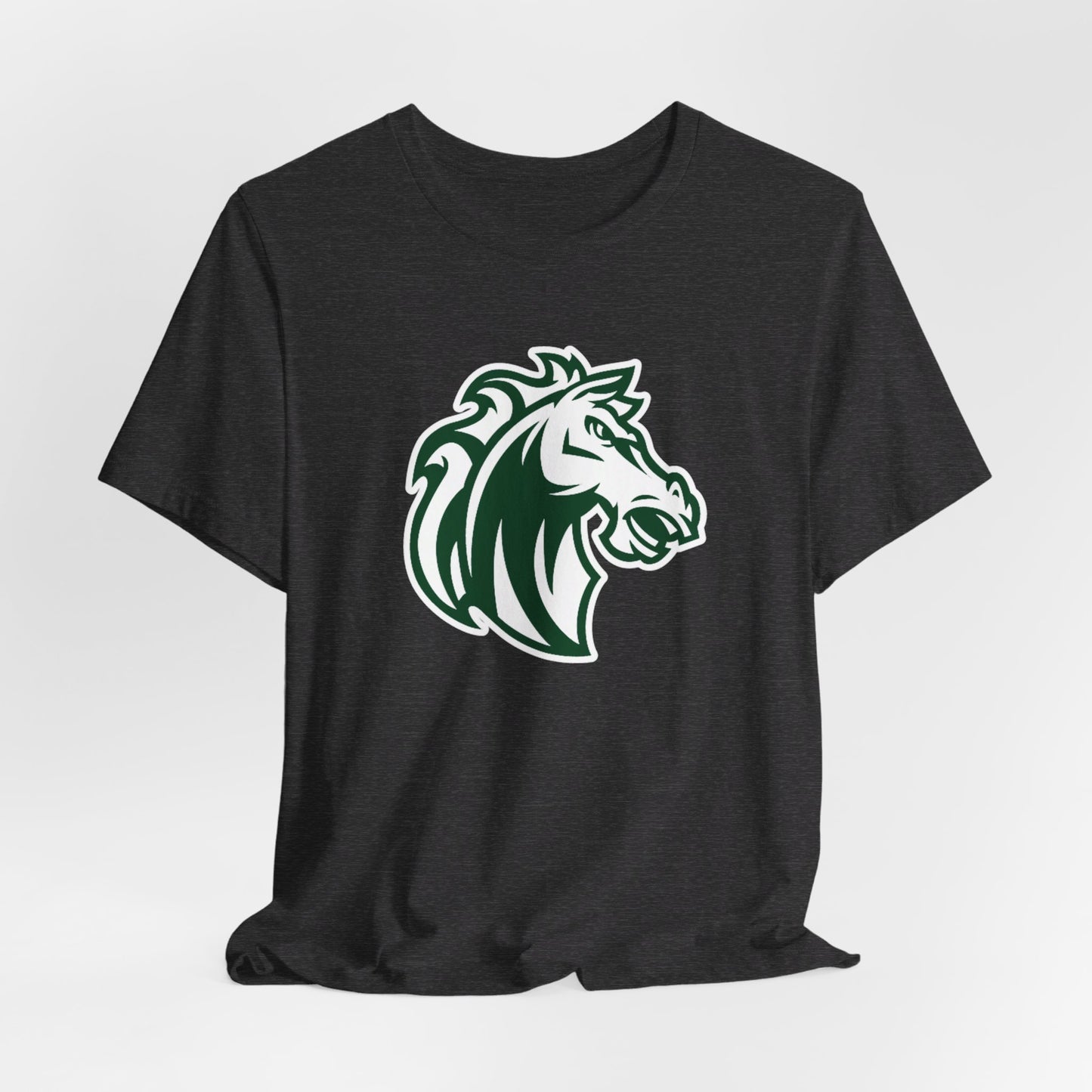 Morgan Park High School Mustangs (Chicago)