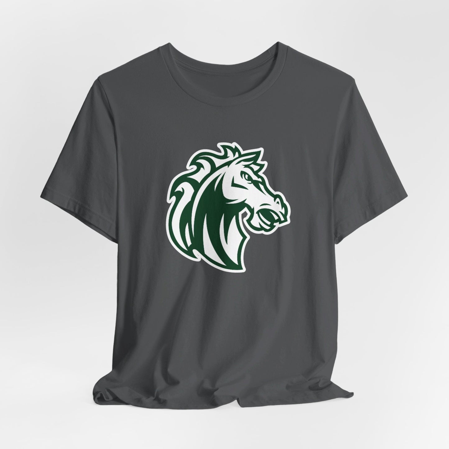 Morgan Park High School Mustangs (Chicago)