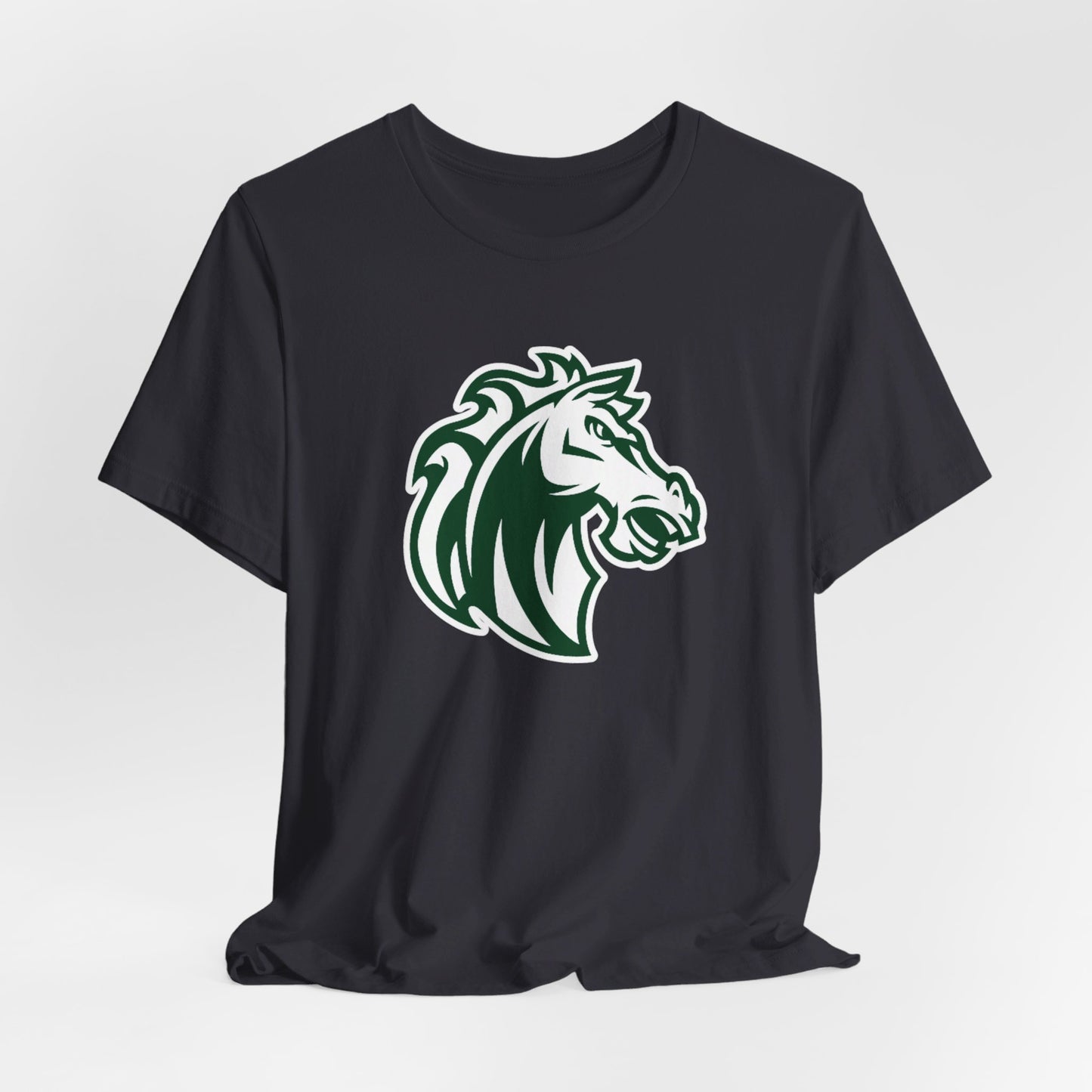Morgan Park High School Mustangs (Chicago)