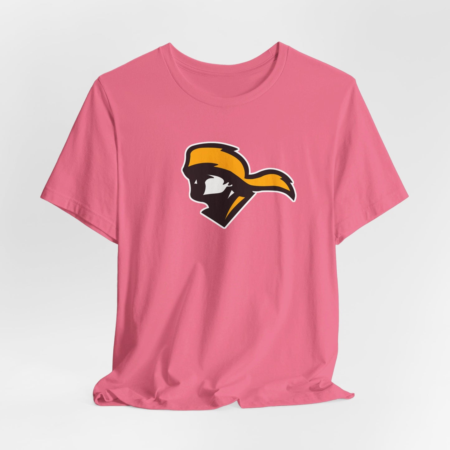 David Crockett High School Pioneers (Tennessee)
