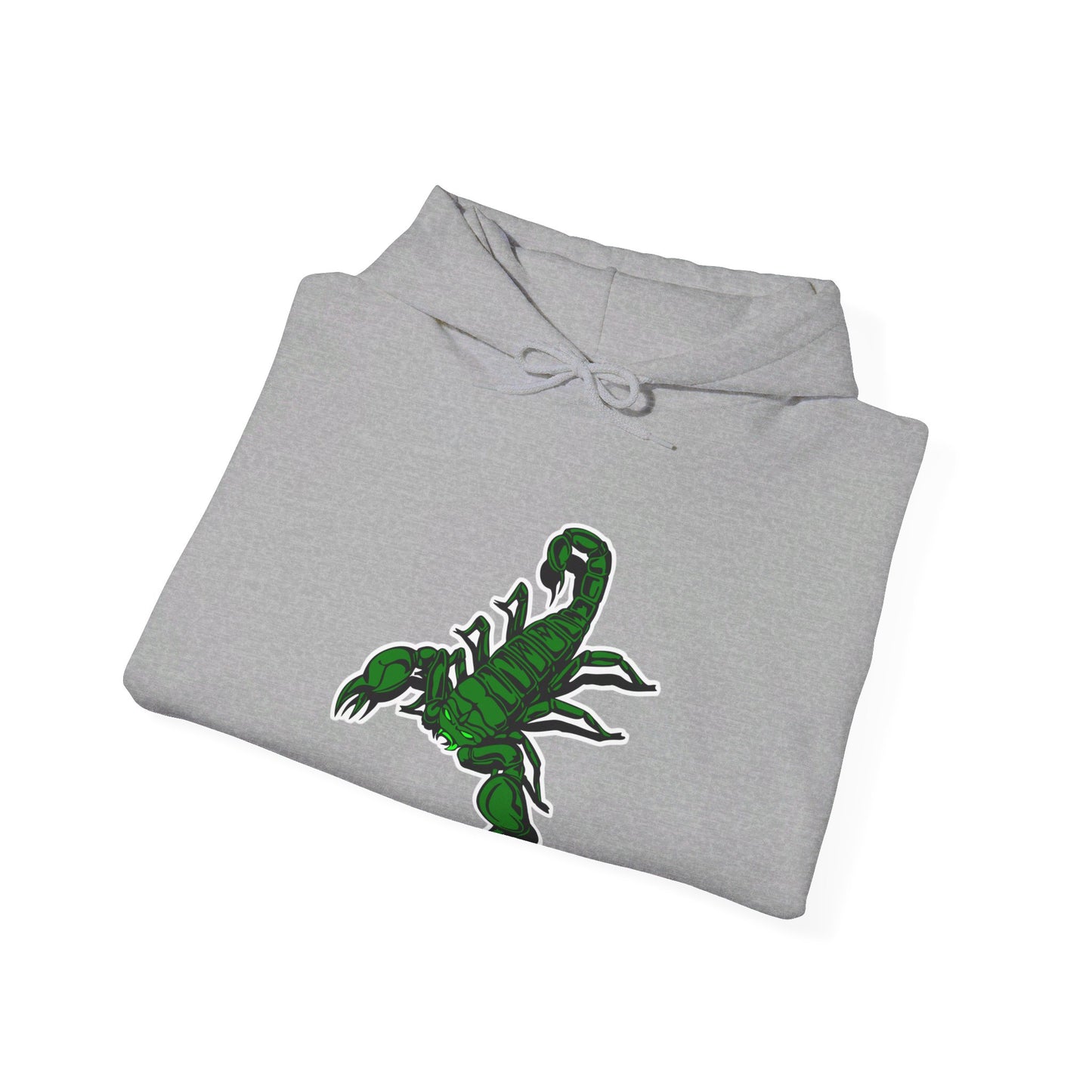 Farmington High School Scorpions Hoodie (New Mexico)