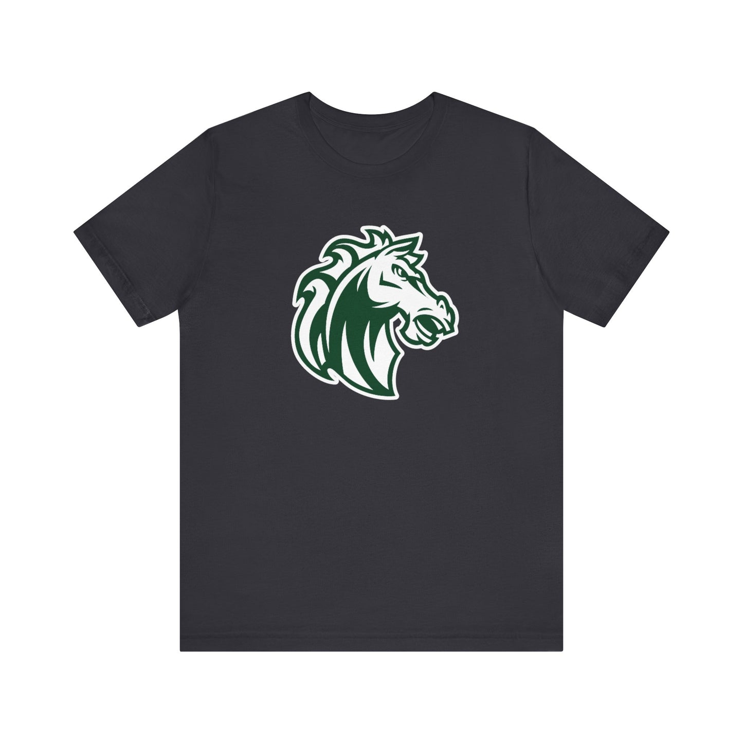 Morgan Park High School Mustangs (Chicago)