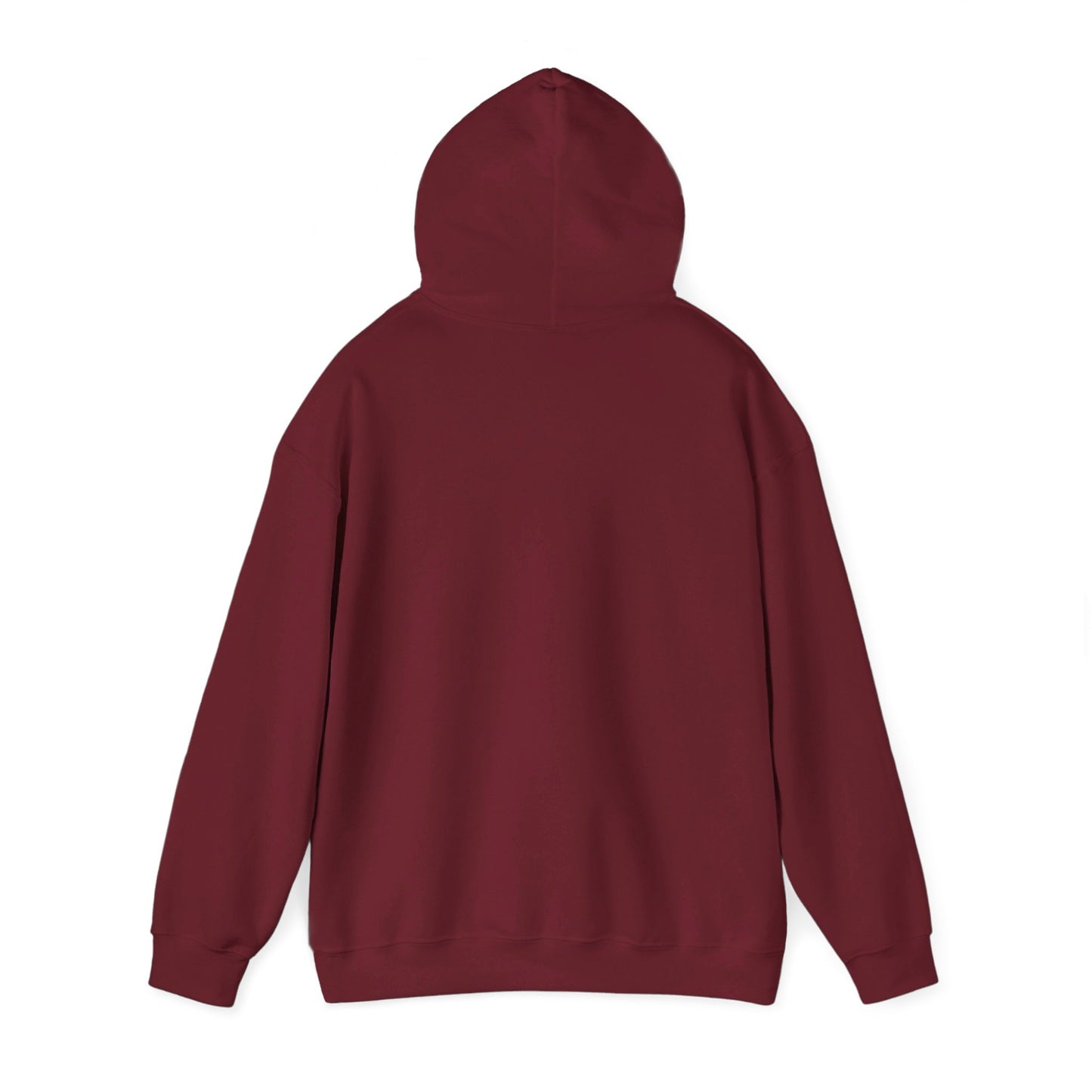 South Albany High School Rebels Hoodie (New Jersey)
