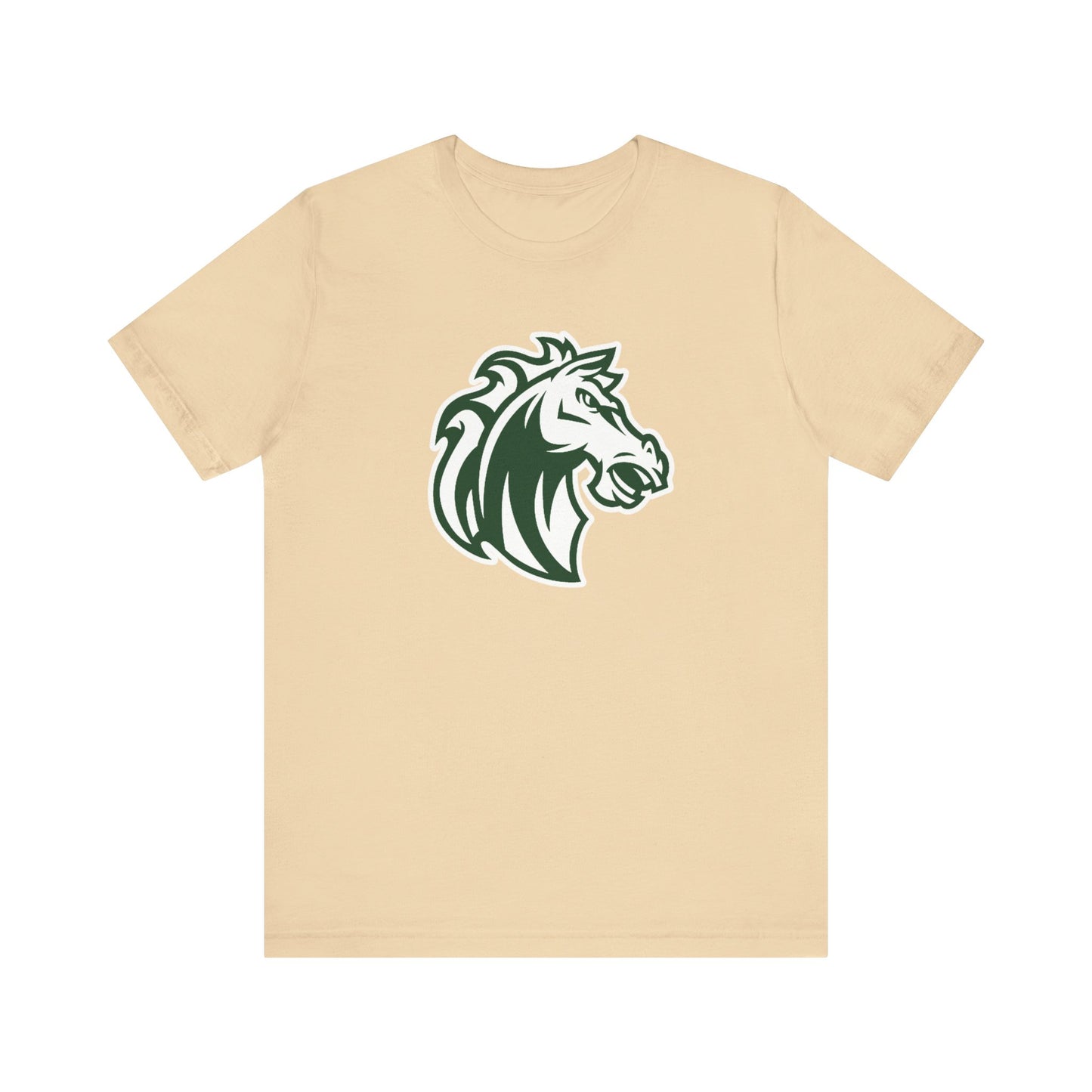 Morgan Park High School Mustangs (Chicago)