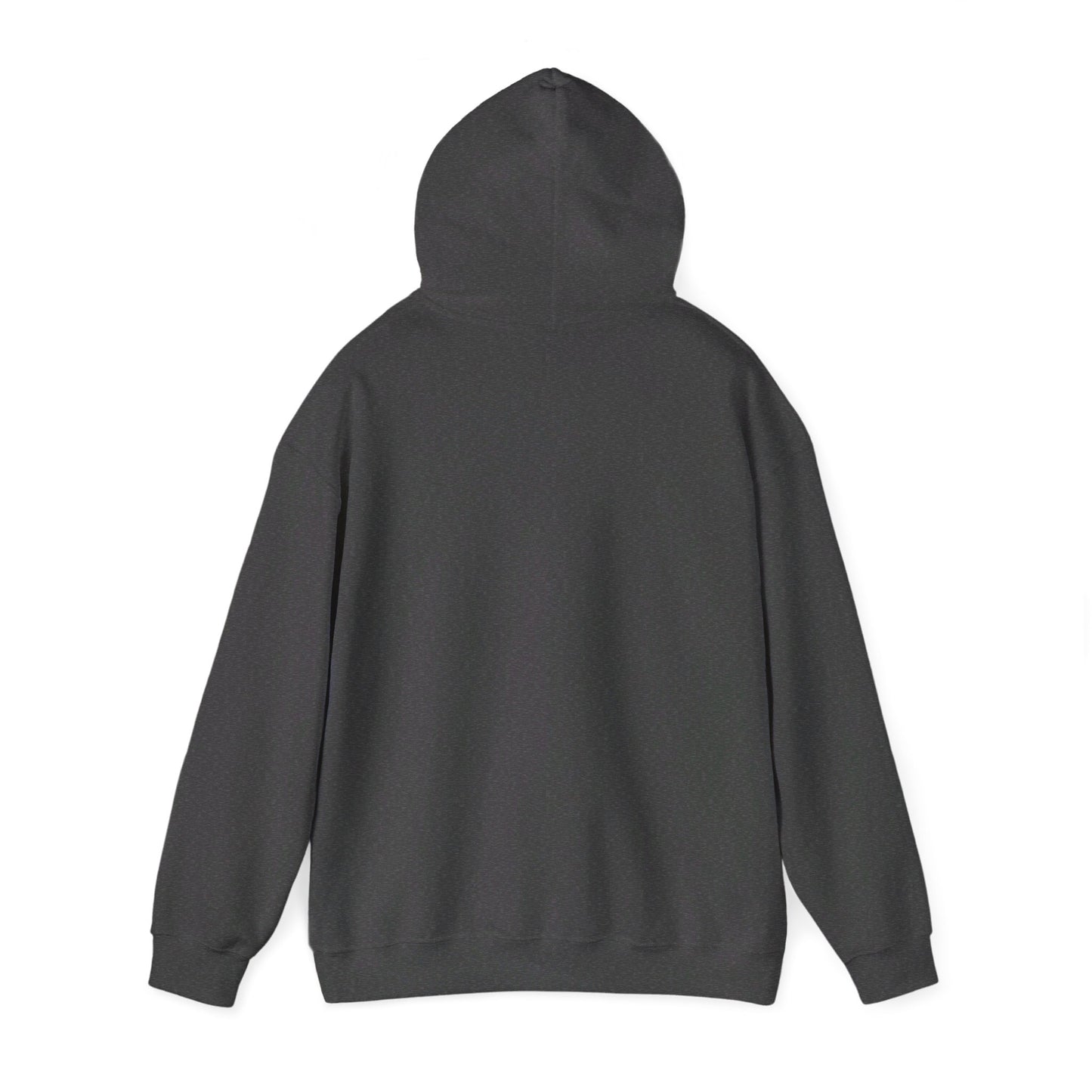 North Arlington High School Vikings Hoodie (NJ)