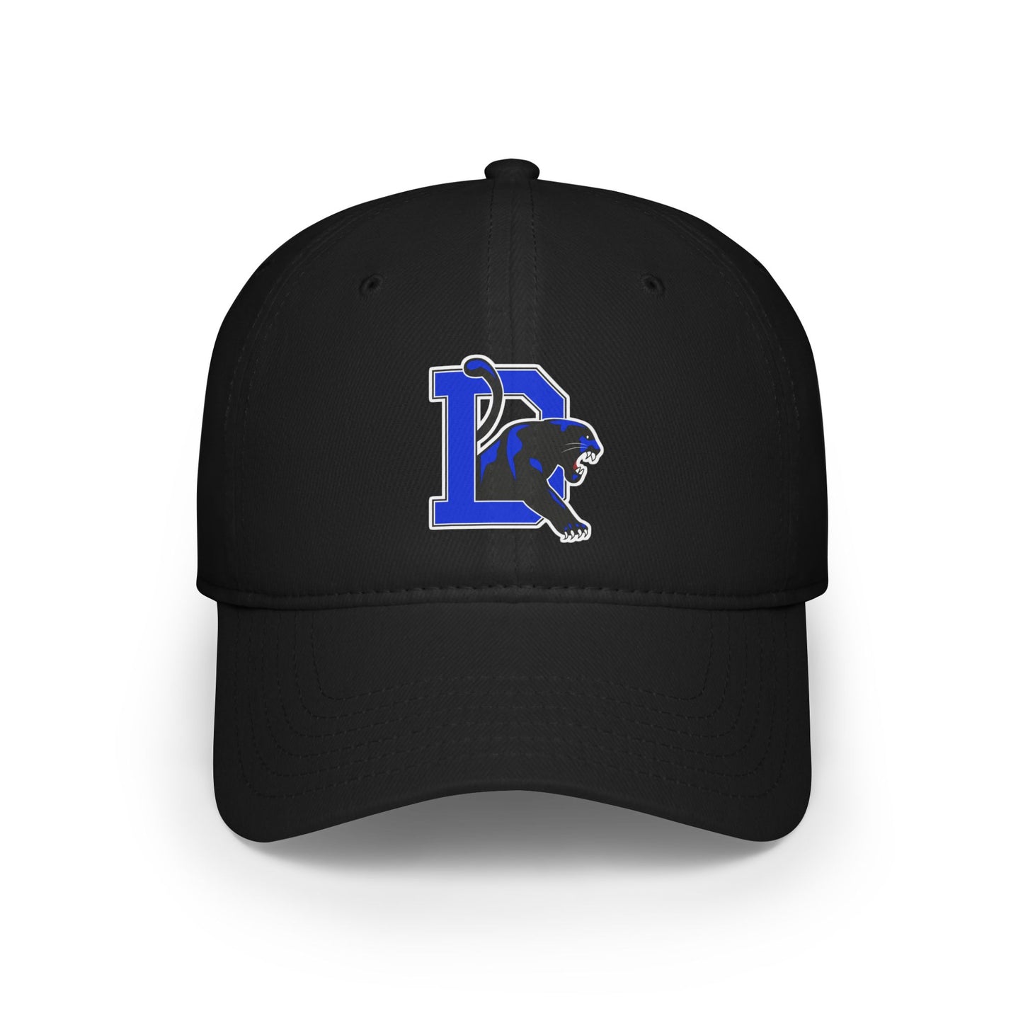 Dillard High School Panthers Hat