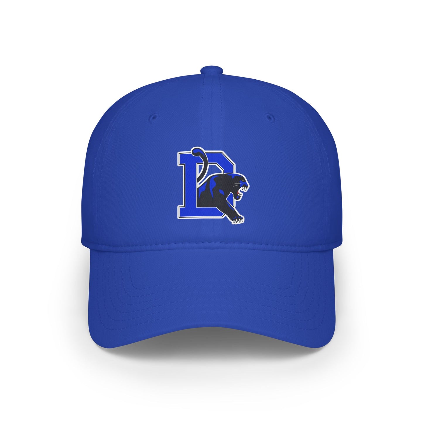 Dillard High School Panthers Hat