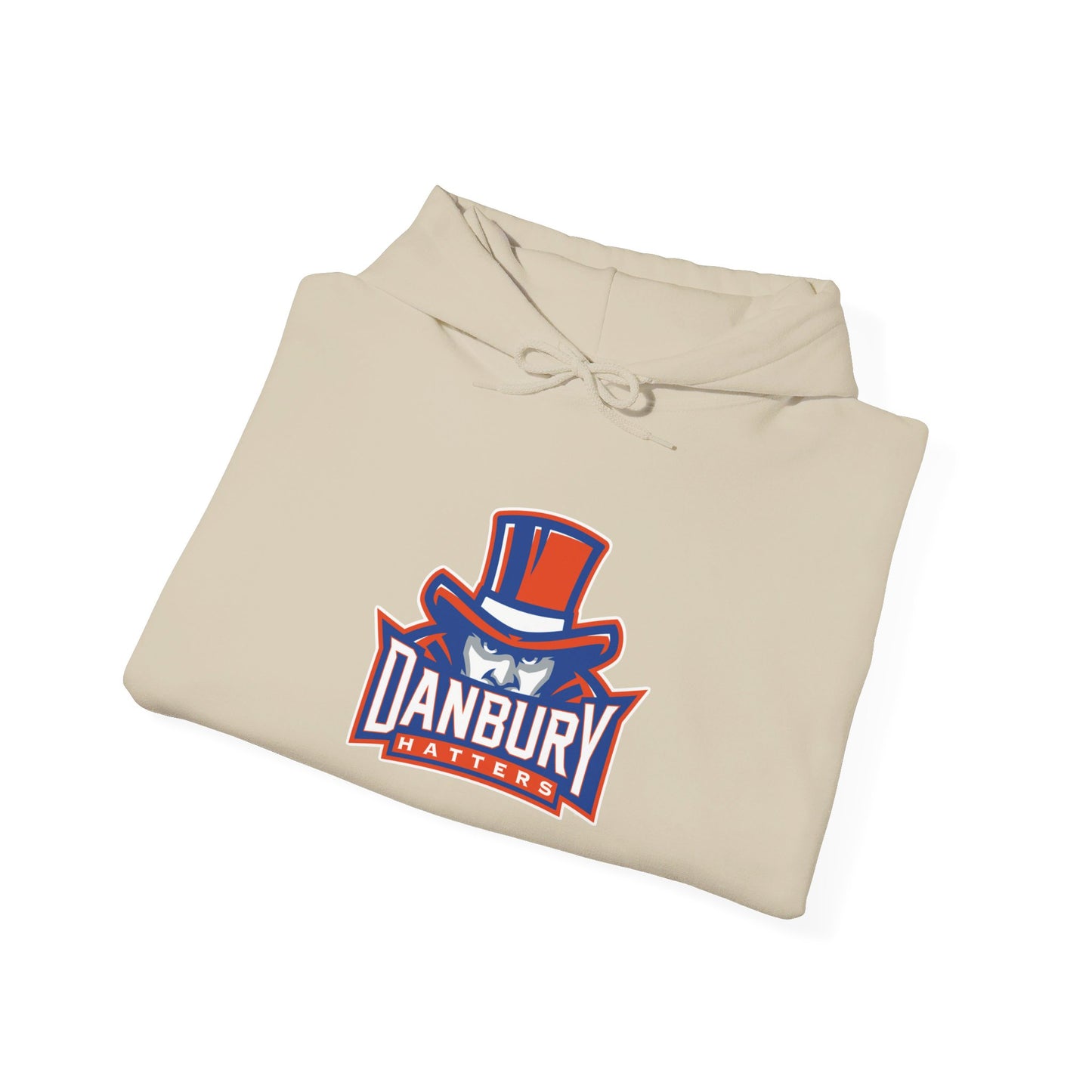 Danbury High School Hatters Hoodie (Connecticut)