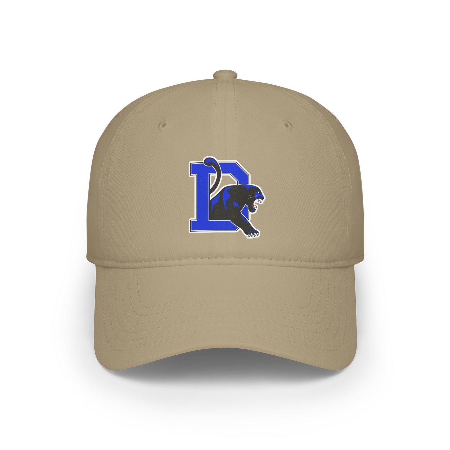 Dillard High School Panthers Hat