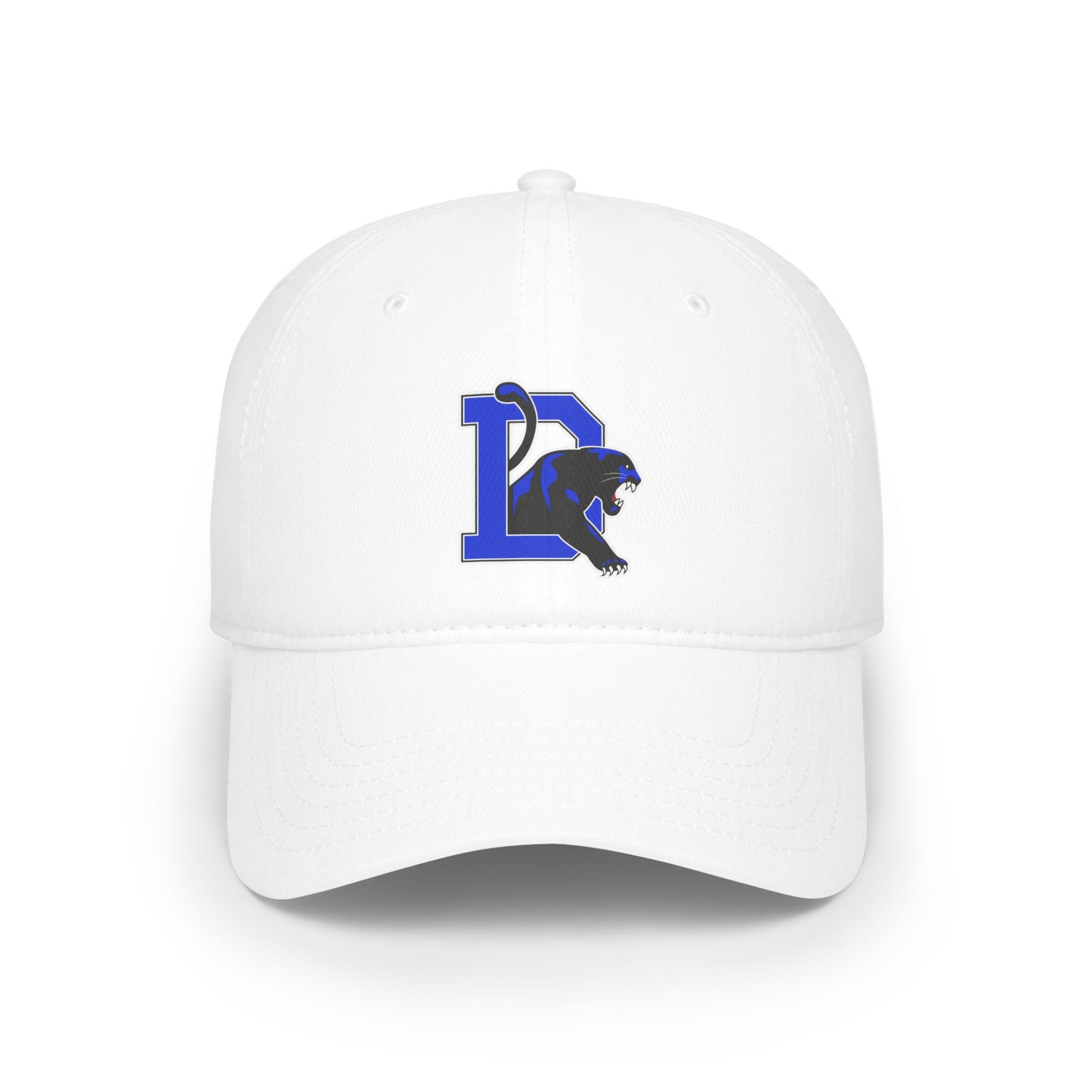 Dillard High School Panthers Hat