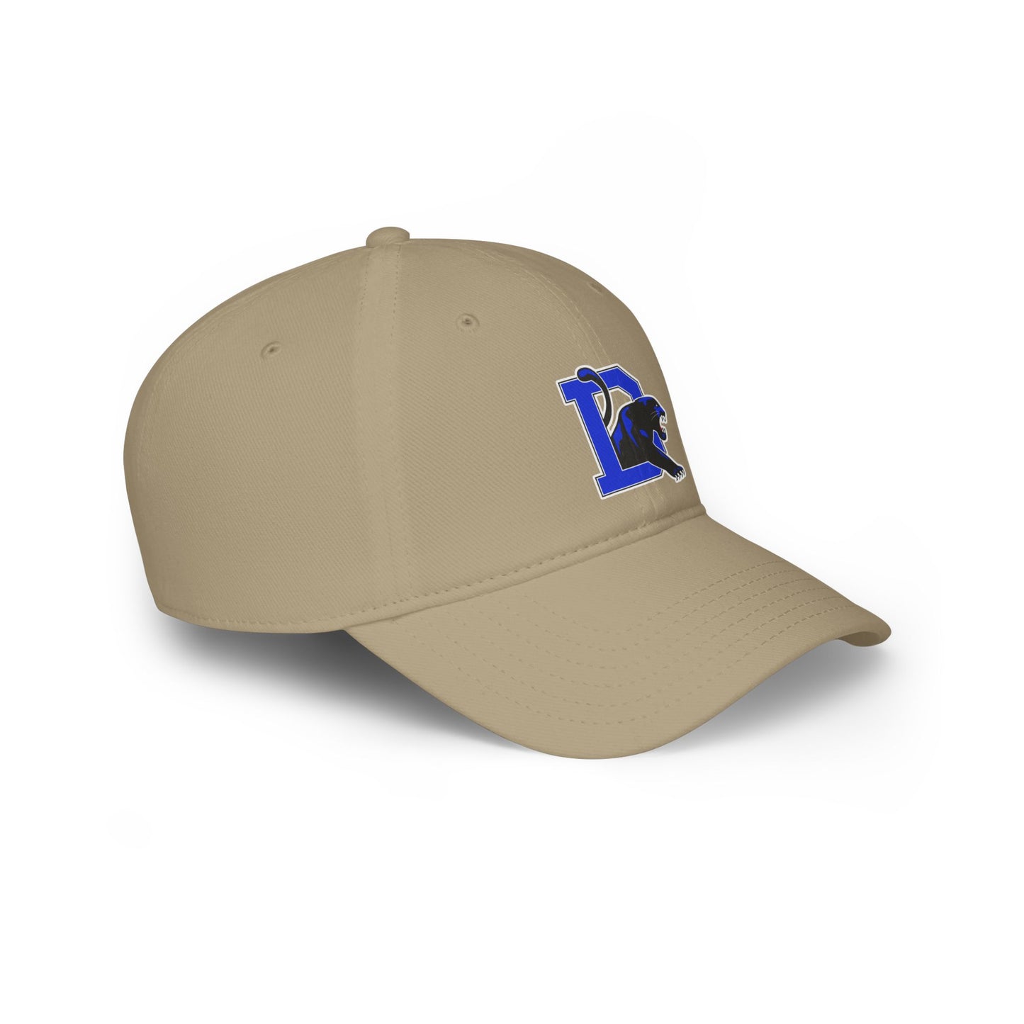 Dillard High School Panthers Hat