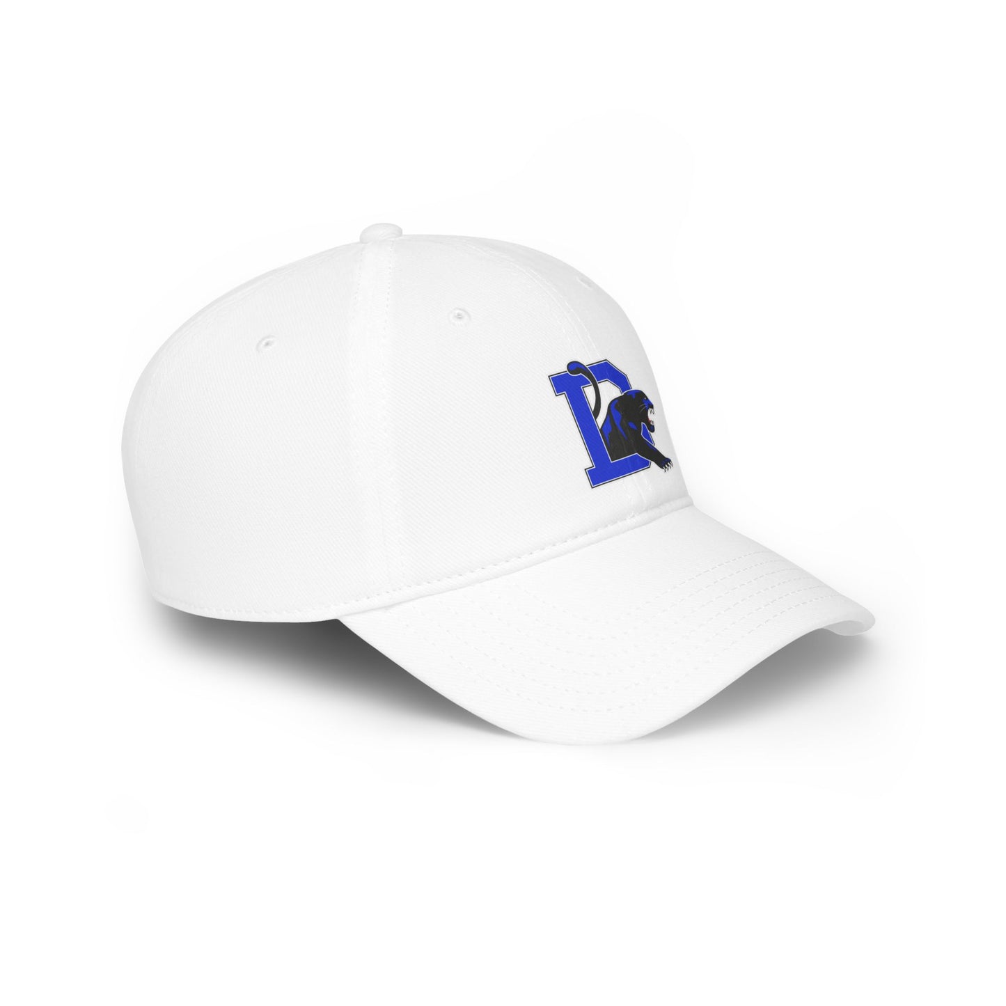 Dillard High School Panthers Hat