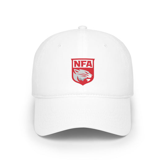 Norwich Free Academy Wildcats Hat (Connecticut)