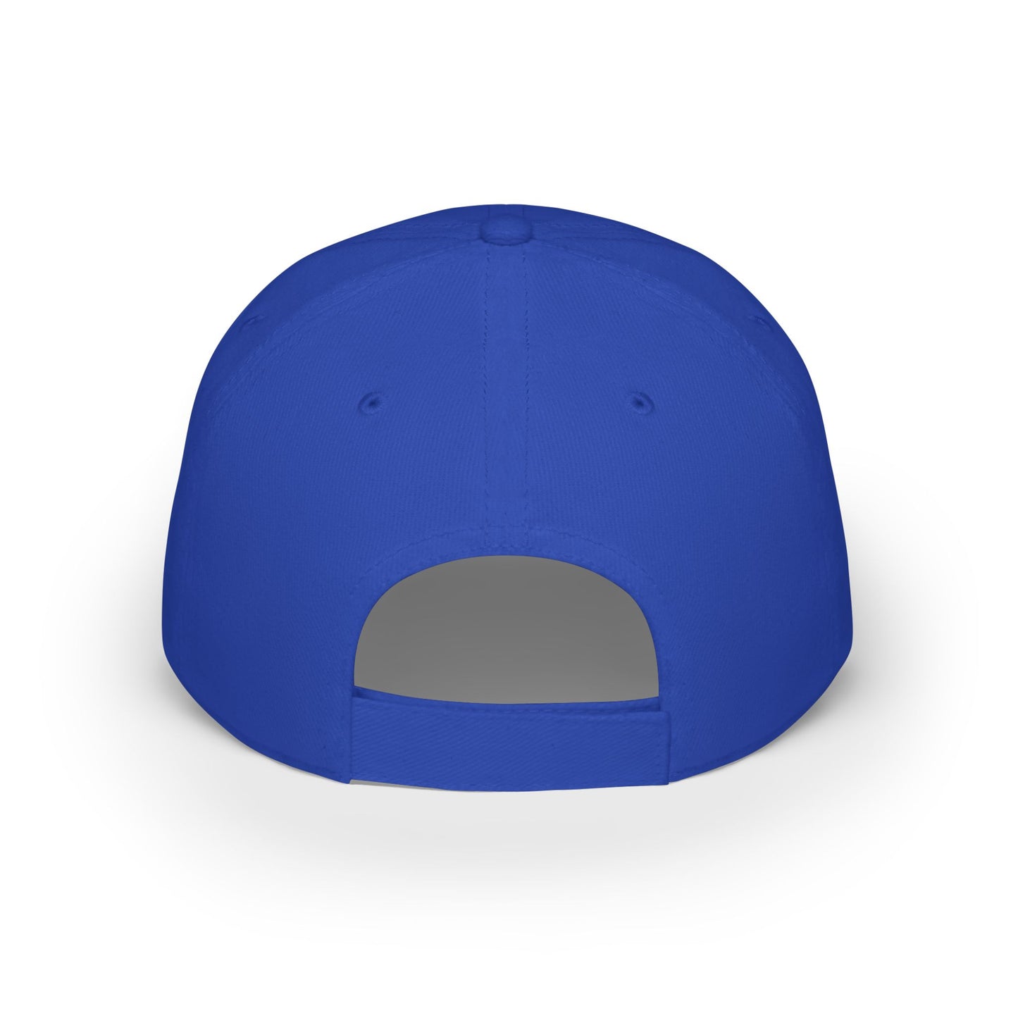 Dillard High School Panthers Hat